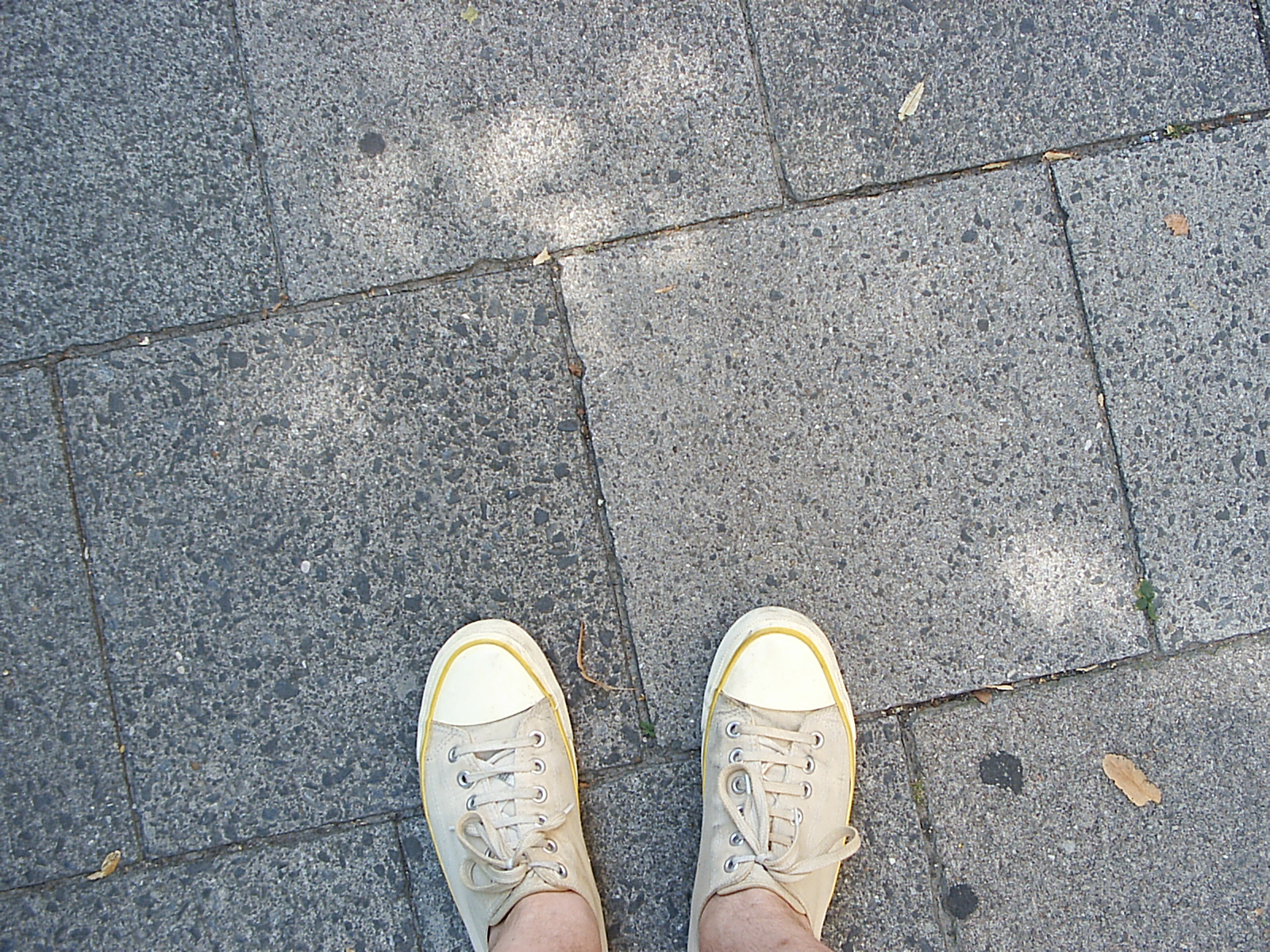 TEST - NICHT KÄUFLICH - NOT FOR SALE